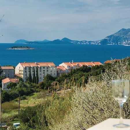 Nice Apartment In Cavtat With Wifi Bagian luar foto