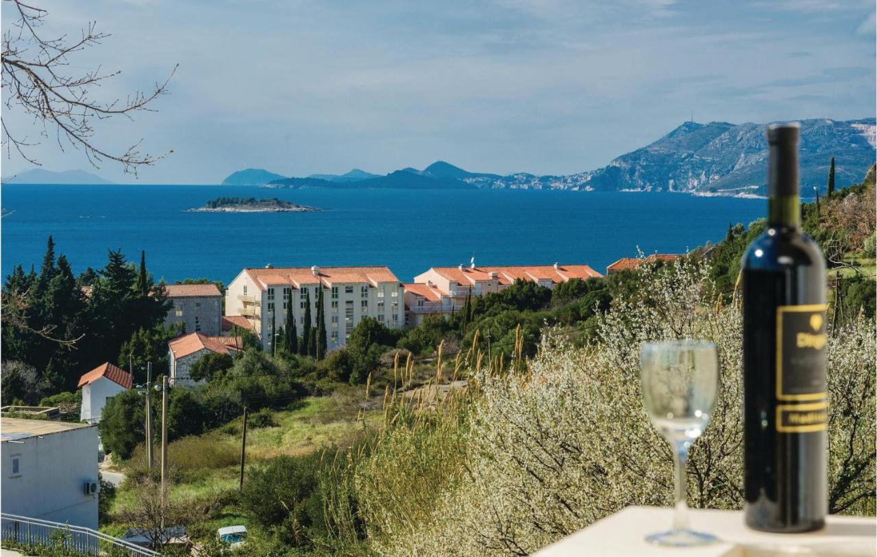 Nice Apartment In Cavtat With Wifi Bagian luar foto
